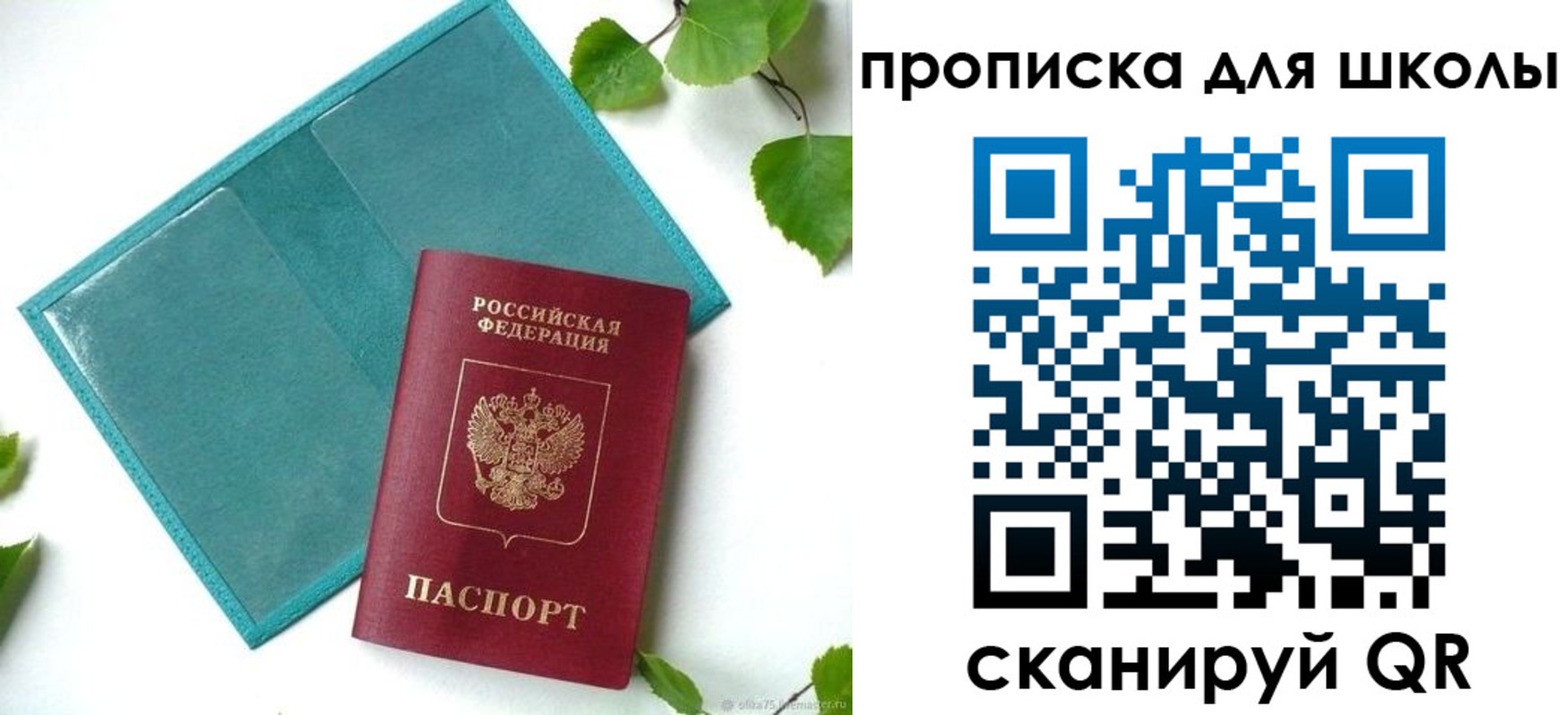 прописка в Курганинске